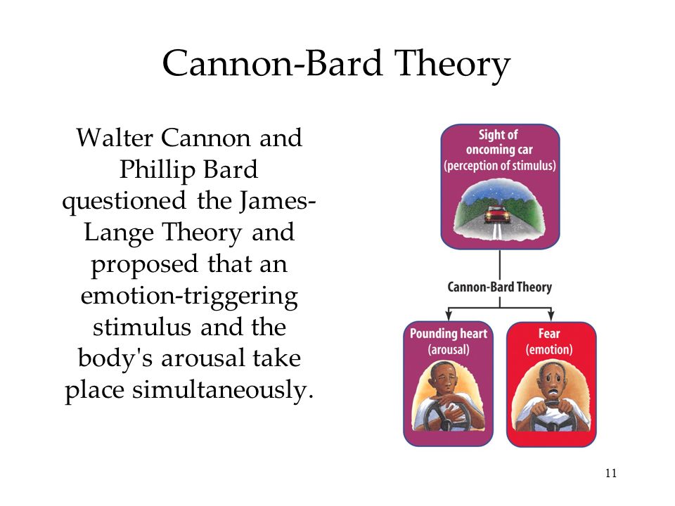 Emotions emotion and cannon bard